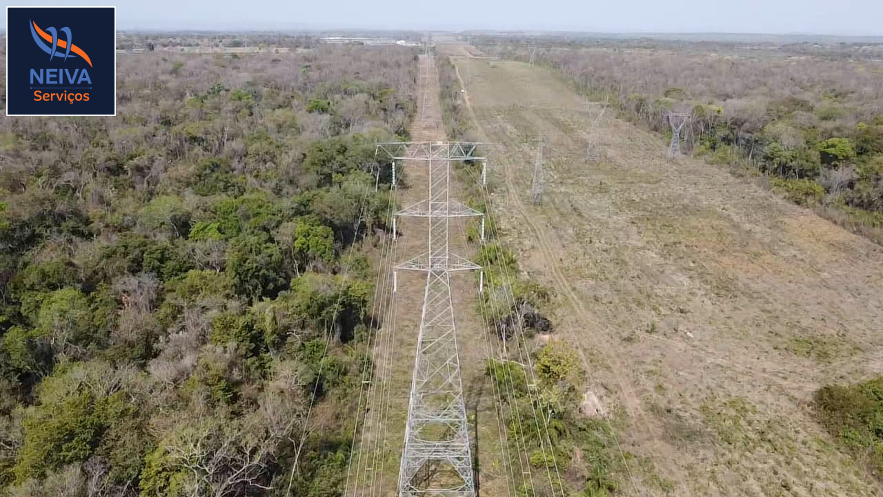 Supressão de vegetação
